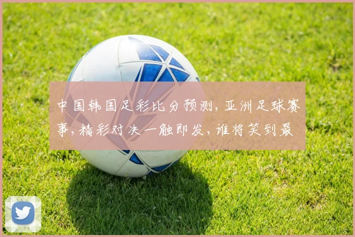 中国韩国足彩比分预测,亚洲足球赛事,精彩对决一触即发,谁将笑到最后