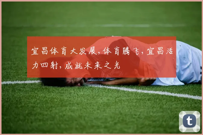宜昌体育大发展,体育腾飞,宜昌活力四射,成就未来之光