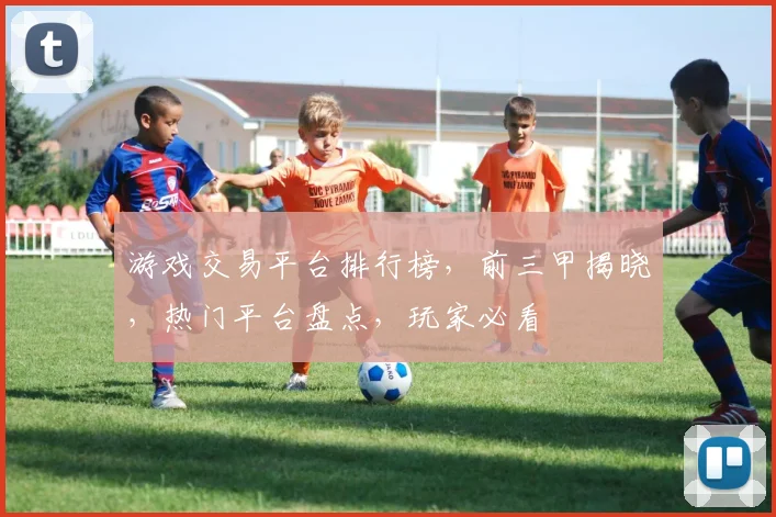 游戏交易平台排行榜，前三甲揭晓，热门平台盘点，玩家必看