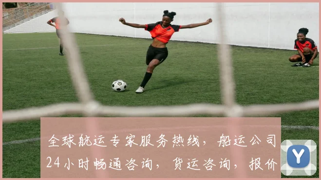 全球航运专家服务热线，船运公司24小时畅通咨询，货运咨询，报价必看，三步搞定