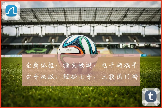 全新体验，指尖畅游，电子游戏平台手机版，轻松上手，三款热门游戏，尽享乐趣，