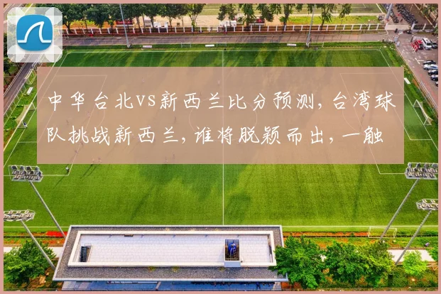中华台北vs新西兰比分预测,台湾球队挑战新西兰,谁将脱颖而出,一触即发