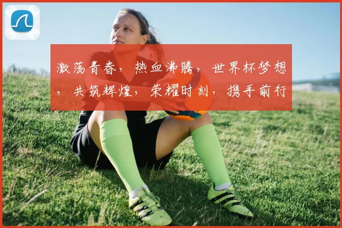 激荡青春，热血沸腾，世界杯梦想，共筑辉煌，荣耀时刻，携手前行，欢歌笑语。